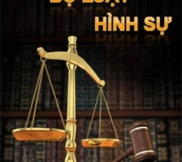 HÌNH SỰ
