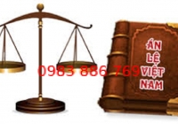 Nhìn lại 3 năm phát triển án lệ ở Việt Nam